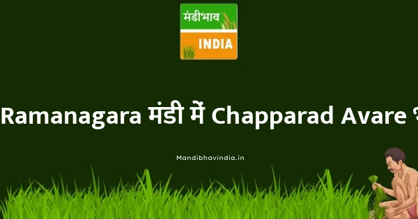 Chapparad Avare भाव